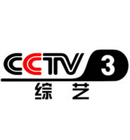 CCTV3缁艰�洪���